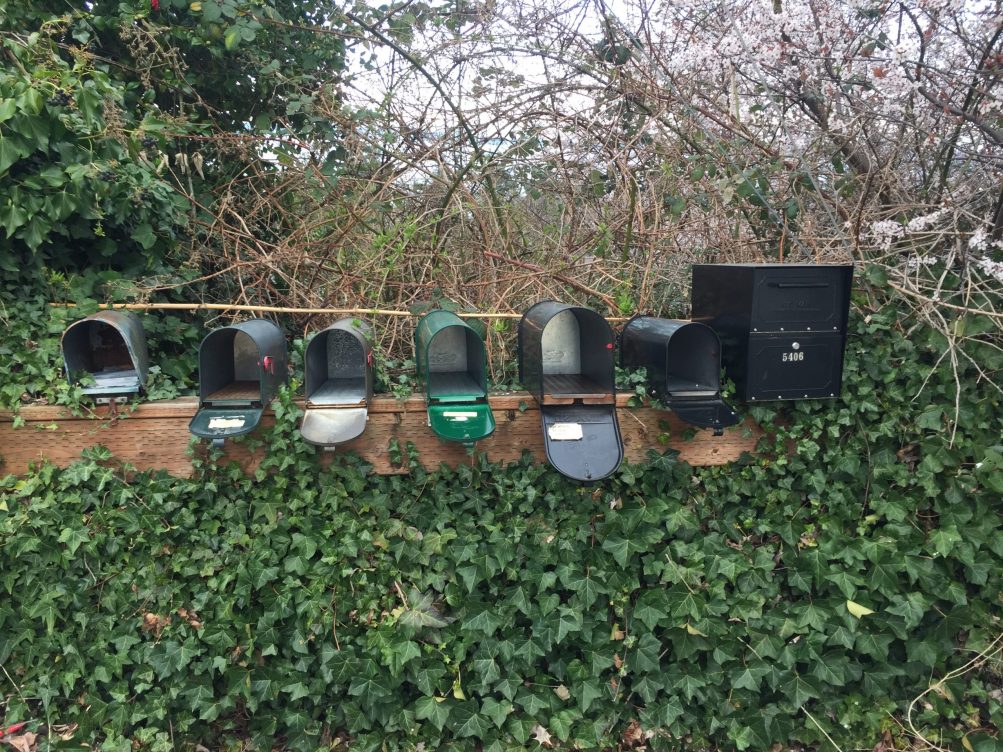 West Seattle Blog… WEST SEATTLE CRIME WATCH Mailboxes ransacked; car