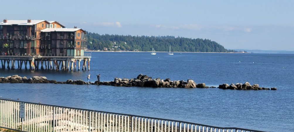 West Seattle Blog… WEST SEATTLE THURSDAY 14 options!