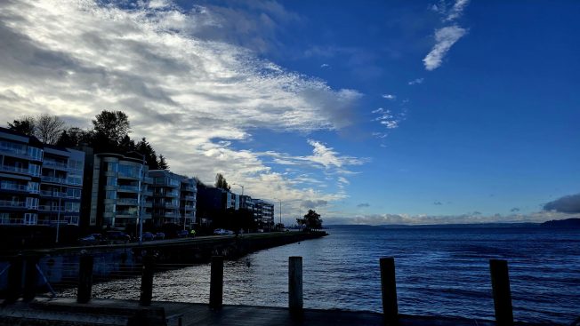 Walk, run, shop, read, give, play, celebrate, listen, learn … 40 options for your West Seattle Saturday