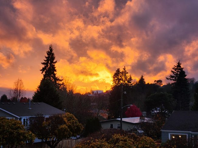 TRAFFIC CAMS, WEATHER, TRANSIT, ROAD WORK: Friday notes, including Delridge onramp flooding