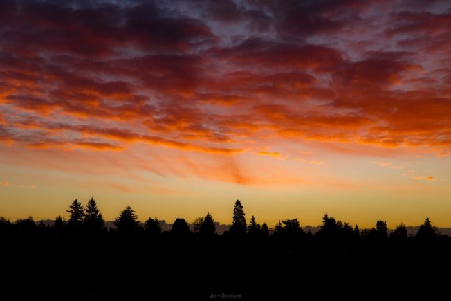 Light-rail forum and more on our list for the rest of your West Seattle Monday