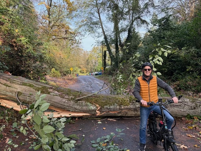 TRAFFIC ALERT: Tree blocking Fairmount under Admiral Way Bridge