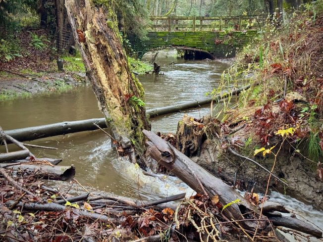 Find out about Walk Fit, take holiday photos, more for your West Seattle Wednesday