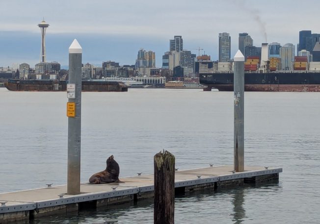 Music, movie, theater, art, ‘jump rope for parents,’ more for your West Seattle Friday!