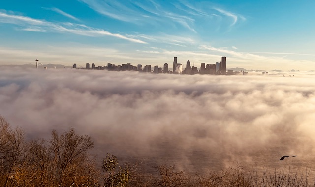 Ferry meetings, Morgan Community Association gathering, SSC info, more for your West Seattle Wednesday (plus fog scenery)