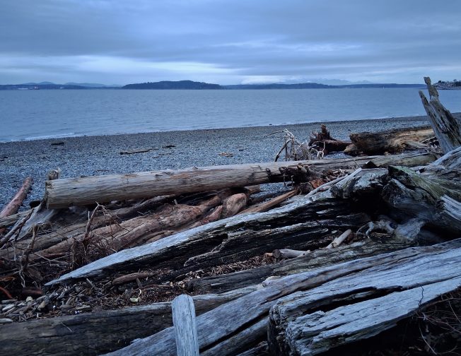 South Seattle College info, story time, Music Quiz, grief support, more for your West Seattle Monday