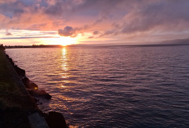 TRAFFIC, WEATHER, TRANSIT: 2026’s first Tuesday; East Marginal trouble