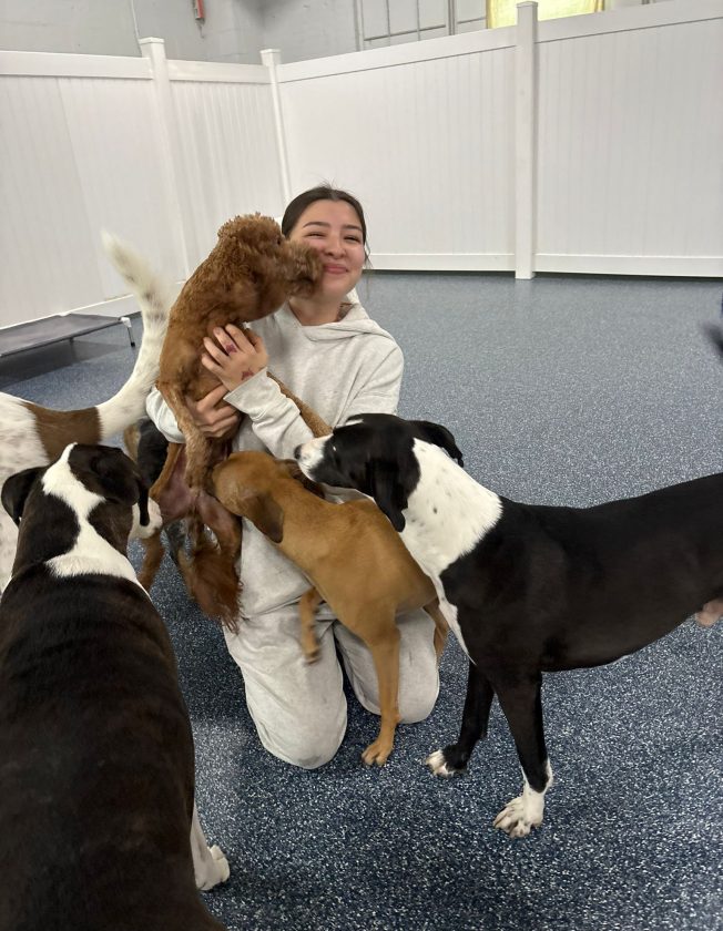 PawsVIP: New West Seattle business, new WSB sponsor