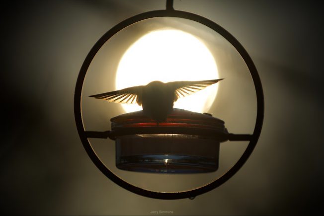 14 notes for your West Seattle Monday!