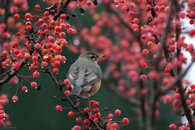 WEST SEATTLE SATURDAY: 23 things to know about!