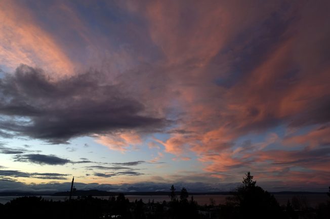 21 events for your West Seattle Tuesday!