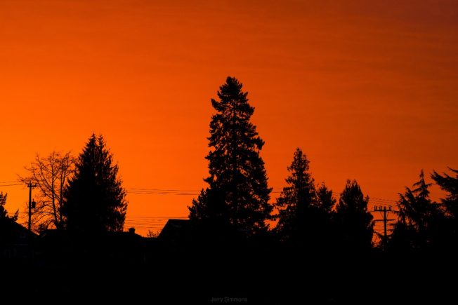 11 possibilities for your West Seattle Monday