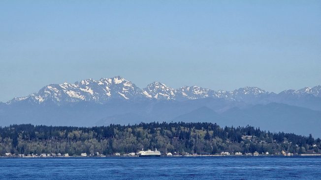 Art, games, health, theater, politics, more for your West Seattle Wednesday