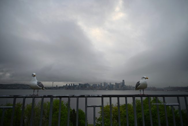 TRAFFIC CAMS, WEATHER, TRANSIT: April’s penultimate day