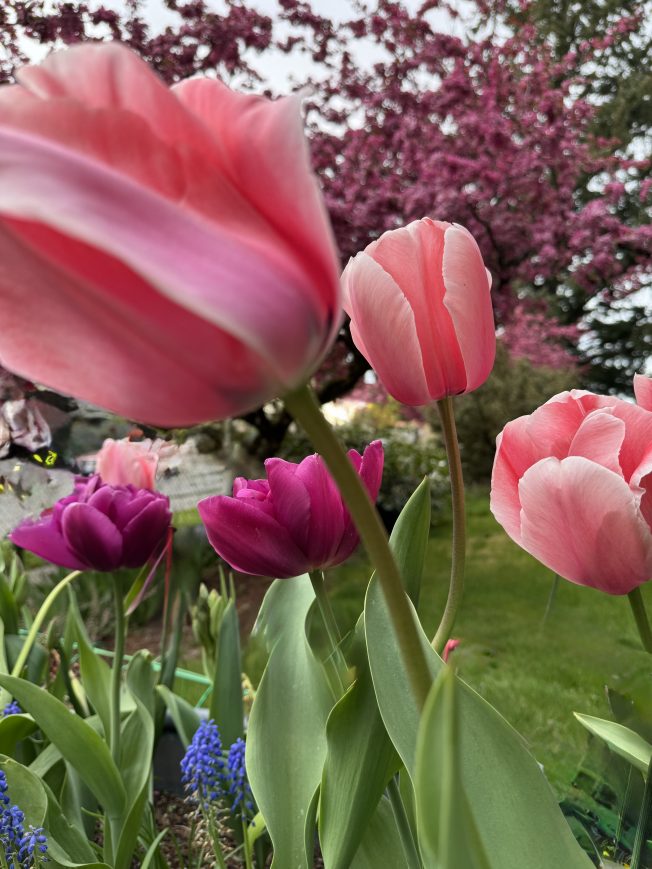 Comedy, music, story time, more for your West Seattle Monday!