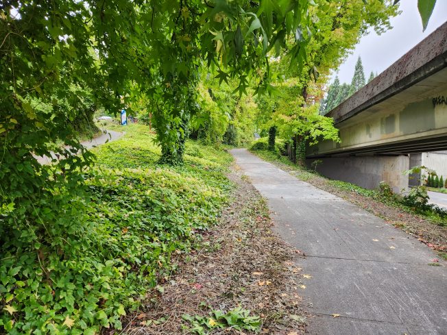 FOLLOWUP: Foot/bike path reopens after Sound Transit work
