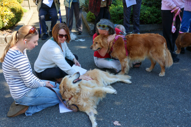 PHOTOS: ‘We share the Earth with them’ – Blessing of the Animals 2026 at St. John’s in West Seattle