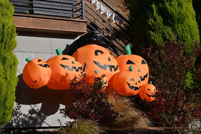 HALLOWEEN SEASON: Got decorations?