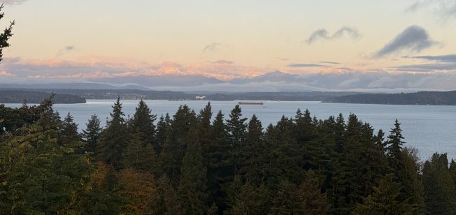 West Seattle Runner Halloween Lights Run, dine out for Sanislo, HPAC, organic-produce webinar, Explorer West MS info session, more for your West Seattle Wednesday
