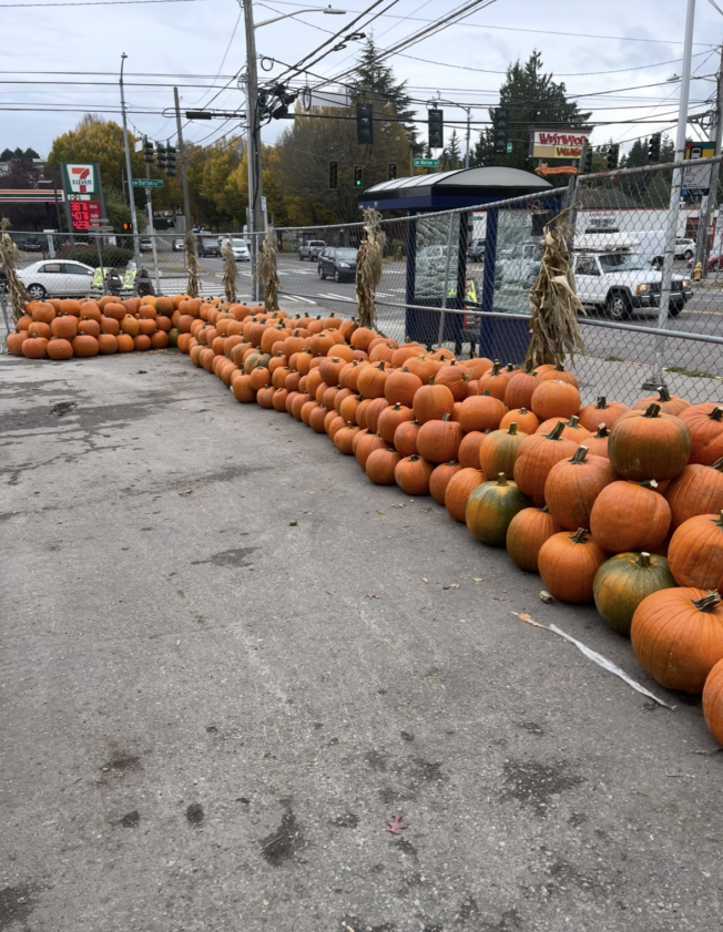 2 seasonal notes: Tony’s Pumpkin Patch returns; Fauntleroy Pumpkin Search change